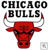 P_bulls_logo
